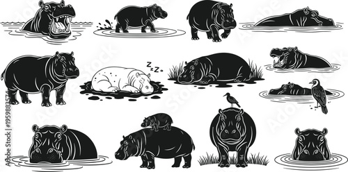 Hippo vector illustration set featuring black hippopotamus silhouettes in various poses like swimming walking and sleeping for wildlife nature design and animal silhouette icons
