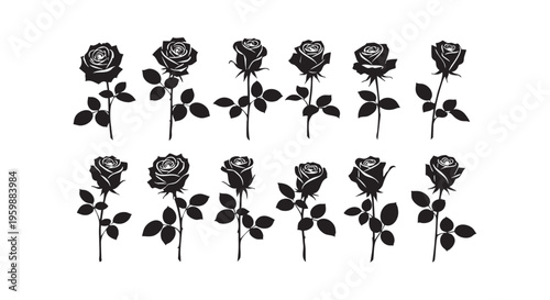 A beautiful arrangement of black roses on a white background for decoration isolated on transparent background