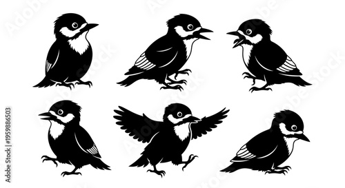 Set of six black and white silhouette illustrations of woodpeckers in various poses