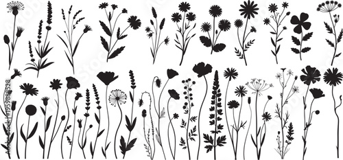 silhouettes, wild flowers, meadow herbs, forest leaves, fern, vector set, spring or summer flowers. Shadow of herb and plant. Nature field isolated on white background