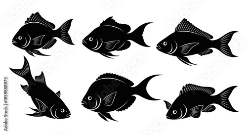 Set of Six Black Silhouette Fish Illustrations Isolated on White Background