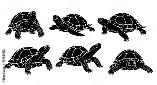Set of Six Black Silhouette Tortoises in Various Poses on White Background