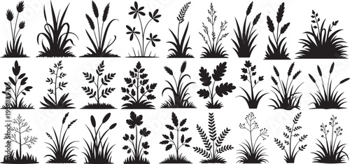 wild grass, meadow plants, and marsh reeds silhouette set. vector illustration