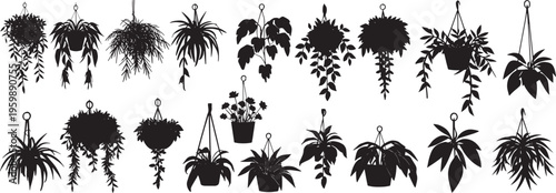 collection of houseplant silhouettes featuring various hanging planters and potted foliage.  gardening, decoration, interior design, and creat. vector