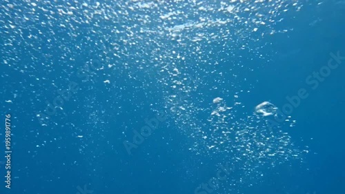 Underwater Bubbles Rising in Ocean.