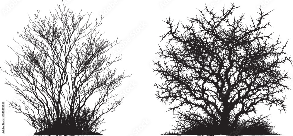 Obraz premium silhouettes leafless bare trees or bushes set, leafless bushes vector set,