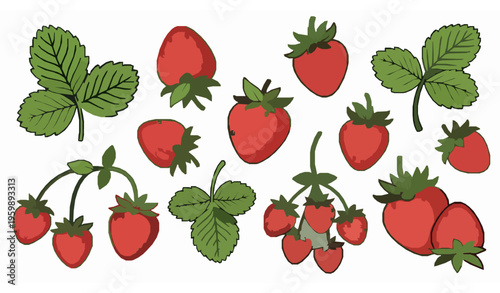 Fresh strawberry cartoon vector illustration set with whole berries, leaves, and stems isolated on white