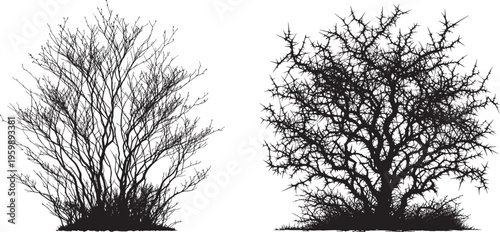 silhouettes leafless bare trees or bushes set,  leafless bushes vector set,