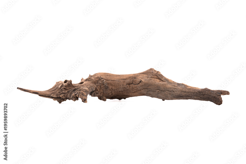 Fototapeta premium Timber for decoration isolated on white background