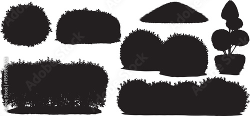 garden plants collection, different shapes of bushes and shrubbery, including rounded, spreading, and hedge, landscaping elements, gardening, and decorative outdoor design. vector illustration