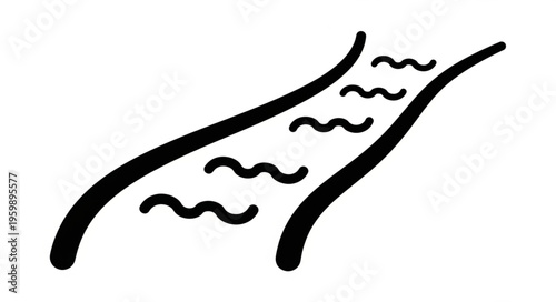 Stylized River Illustration - A Simple Black and White Waterway Design.