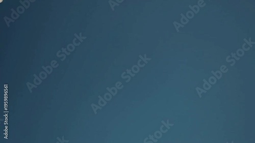 A white dove flying in a clear blue sky