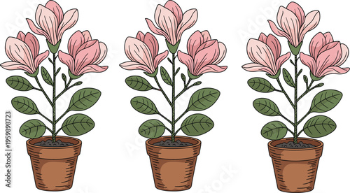 Potted flowering plant illustration featuring green leaves and pink blossoms, perfect for botanical, decorative, educational, gardening, and design projects
