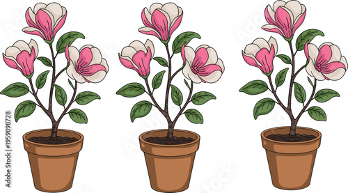 Potted flowering plant illustration featuring pink and white gradient blossoms with green leaves, perfect for botanical, decorative, gardening, educational, and design projects