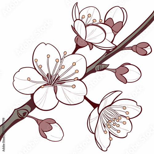 A branch of a tree with white flowers