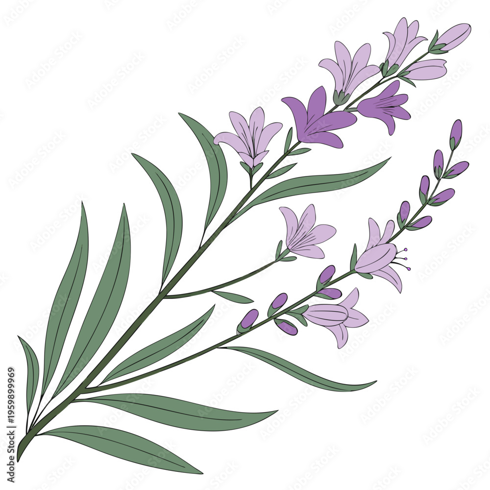 Fototapeta premium A sprig of purple flowers and green leaves