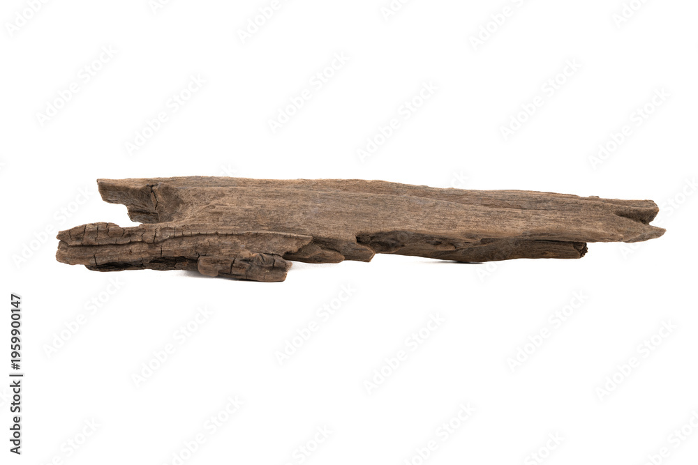 Fototapeta premium Timber for decoration isolated on white background