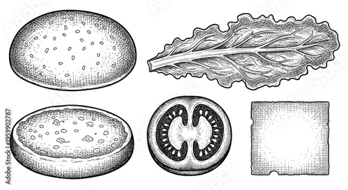 Hand-drawn sketch of burger ingredients - bun, lettuce, tomato, and cheese slice.