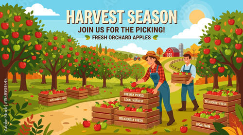 Harvest Season Apple Orchard Scene with People Picking Fruit