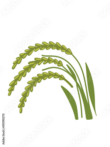 rice ears hanging on slender stems in field