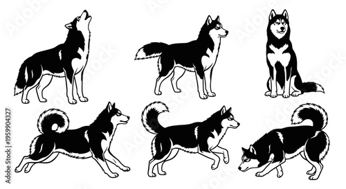 Siberian Husky Dog Poses Set: Howling, Standing, Sitting, Running, Playful