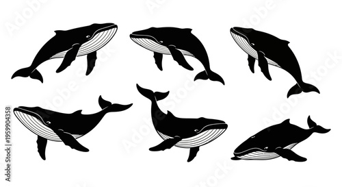 Set of Six Black Whales Silhouettes, Vector Illustration, Marine Mammals