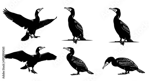 Set of Six Cormorant Bird Silhouettes in Various Poses - Flying, Perching, Diving