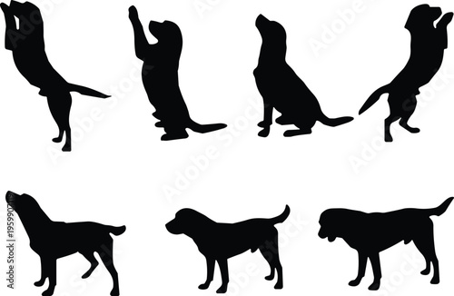Black dog silhouette set featuring labrador and retriever poses like jumping sitting and standing isolated on white background for vector.