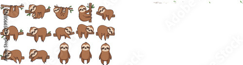 Set of cute sloth cartoon characters with different poses hanging sitting standing sleeping adorable animal mascot vector illustration isolated collection design