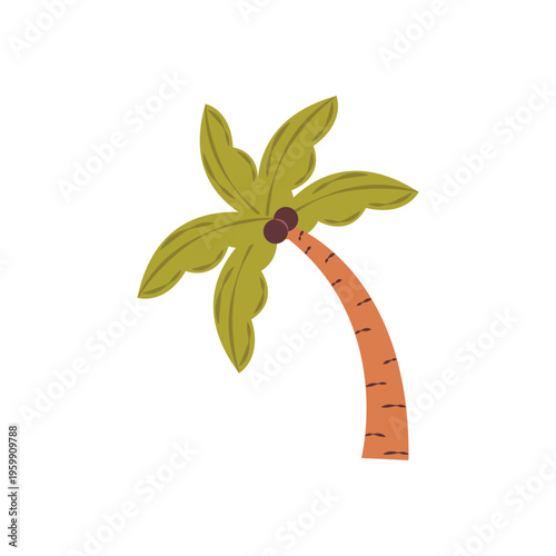 Illustration of tropical palm tree. Summer and beach vacation concept