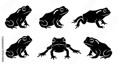 Set of Six Black Frog Silhouettes on White Background, Various Poses