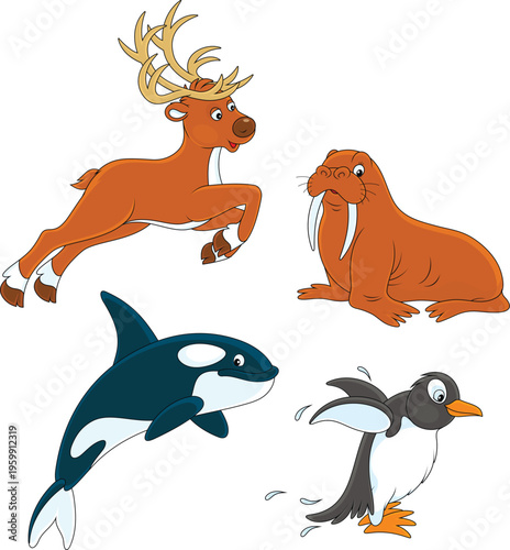 Cartoon walrus, killer whal...