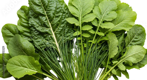 Fresh green leaves and grass on black background fresh produce