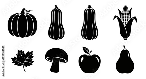 Autumn harvest vegetables and fruits displayed as a striking silhouette
