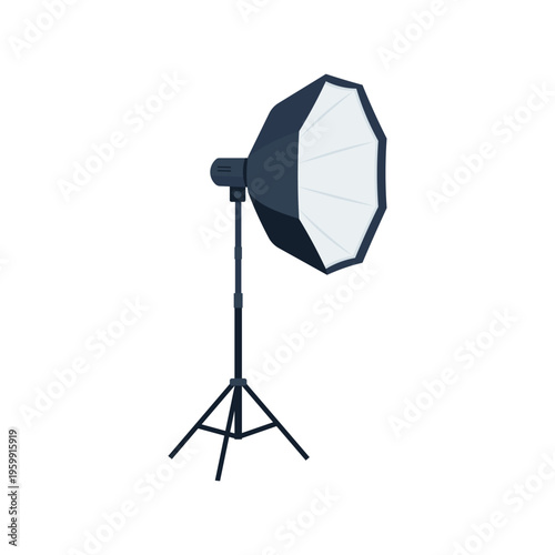 Octagonal Softbox Studio Light on a Stand, Essential Photography Equipment