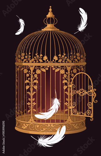 Ornate gold birdcage with floating feathers book cover