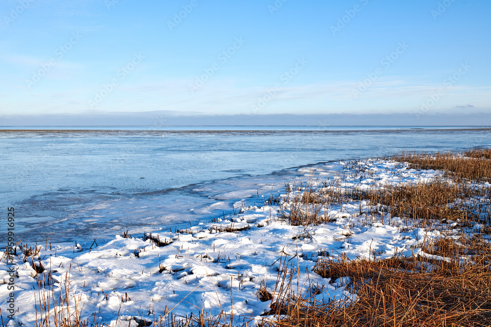 Naklejka premium Landscape, frozen and lake with grass in nature for climate change, winter season and morning frost. Space, blue sky or river with ice formation, snowfall field and icy conditions from global warning