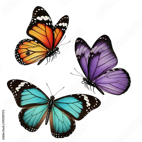 Three colorful butterflies isolated on transparent background