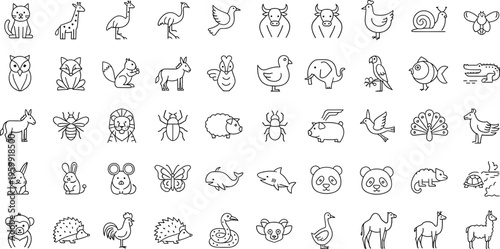 A collection of 40 animal line icons