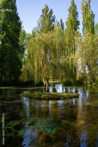 A view of the Clitunno Springs, a site praised since Roman times, with clear waters, aquatic plants, and local wildlife.