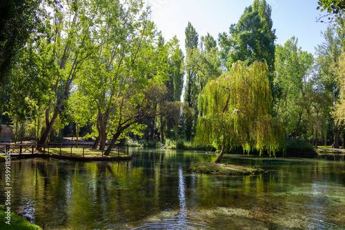 view of the Clitunno Springs, a site praised since Roman times, with a wooden bridge, clear waters, and rich vegetation.