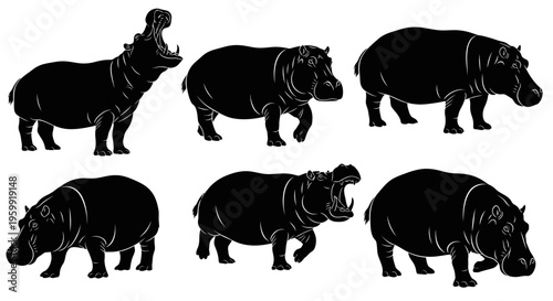 Silhouette Hippos Collection: Open Mouth, Walking, Grazing - Vector Art