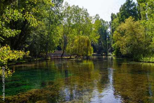 Clear-water scene from the Clitunno Springs in Umbria, with a willow tree, wooden railing, and reflective shallow pond.
