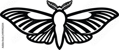 Black and white illustration of a moth with outstretched wings on a plain white background.