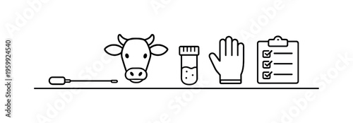 Veterinary artificial insemination procedure for controlled breeding and genetic improvement in livestock farming operations, insemination catheter, cow head, semen vial, glove