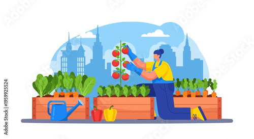 Urban Gardener Tending to Fresh Produce in City Rooftop Garden.