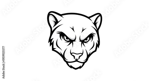 Angry Mountain Lion Face Closeup.