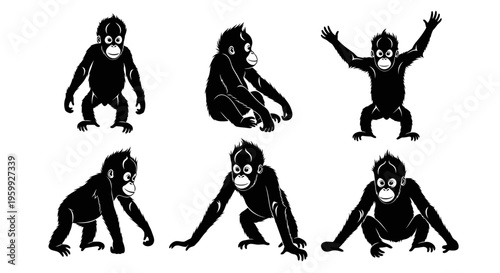 Set of Six Black Silhouette Illustrations of Orangutan Poses on White Background
