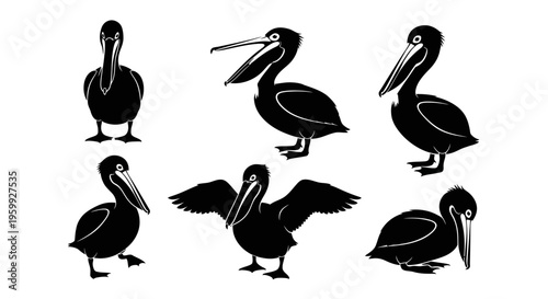 Set of Six Black Silhouette Pelicans in Various Poses on White Background