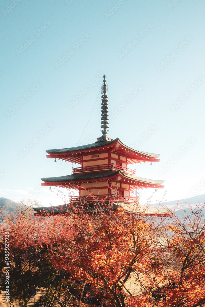 Naklejka premium Chureito Pagoda in Japan